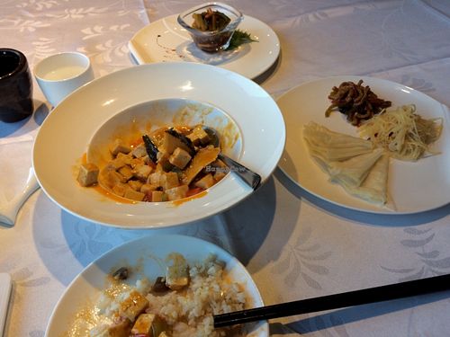 The Mapu  Dofu with fake fishy slices, bowl of rice, and complimentary appitizers.  at Hetian Xinyu - Lotus Vegetarian in Dalian