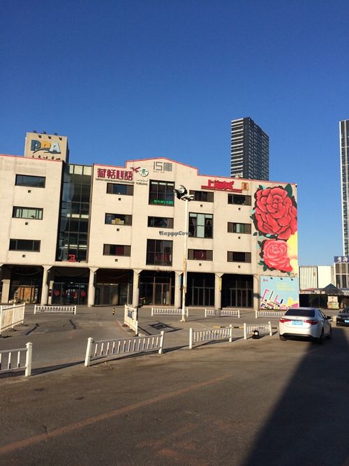 Yup.  Difficult to miss this building from blocks away! at Hetian Xinyu - Lotus Vegetarian in Dalian