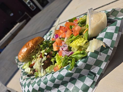 Vegan burger and a side salad at Trinity River Brewing Company in Weaverville