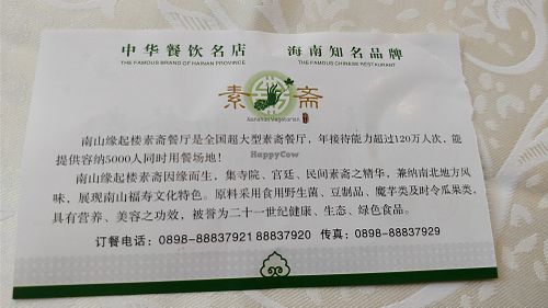 Buffet ticket back at Yuan Qi Lou - Nanshan Temple in Sanya