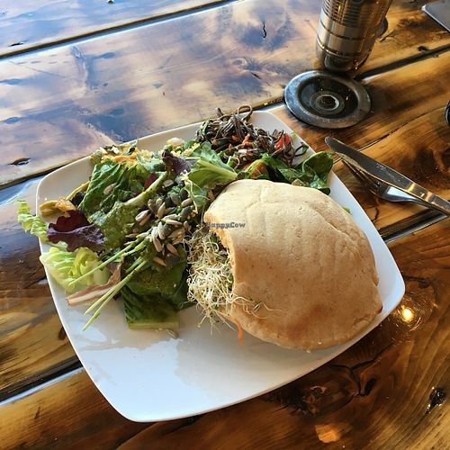 Sandwich FalaFusion avec pita complet et mélange de salades du jour at Panthere Verte - Plateau in Montreal