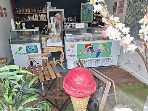 Vegan freezer at Lake District Desserts in Ulverston