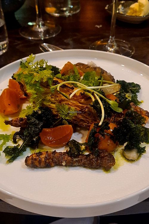 Lace cabbage at Arken Hotel & Art Garden Spa in Gothenburg