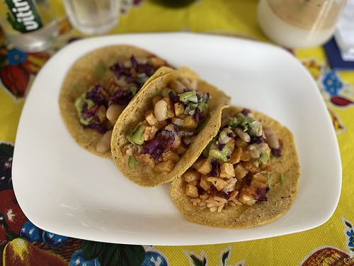 Vegan tacos - Chiquita, Banja Luka  at Chiquita in Banja Luka