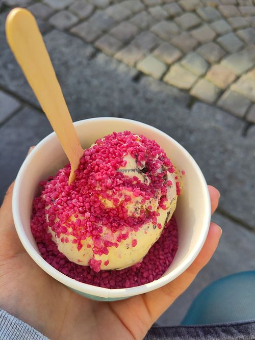 Vegan option with raspberry topping at MooGoo Icecream House in Stavanger