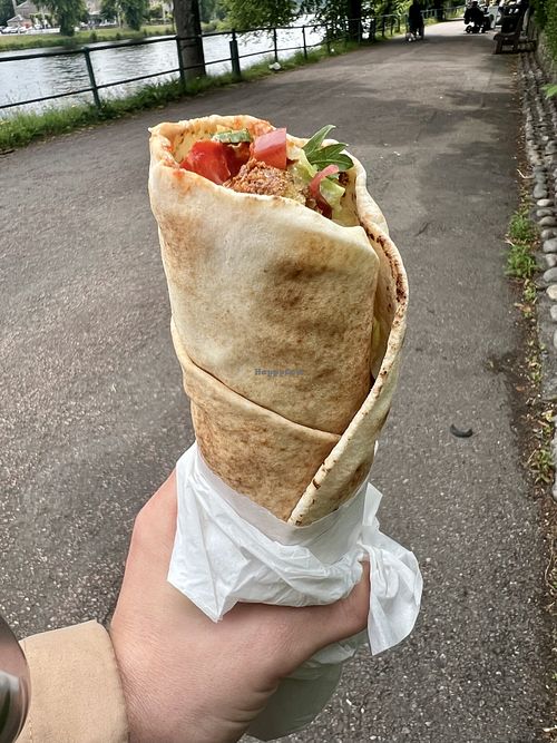 Falafel wrap   at The Falafel Shop - temporarily closed in Inverness