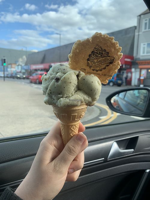 Mint choc chip  at Gabrielle's Ice Cream Parlour in Redcar
