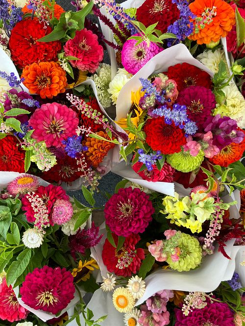  at Apple Valley Farmers Market in Apple Valley