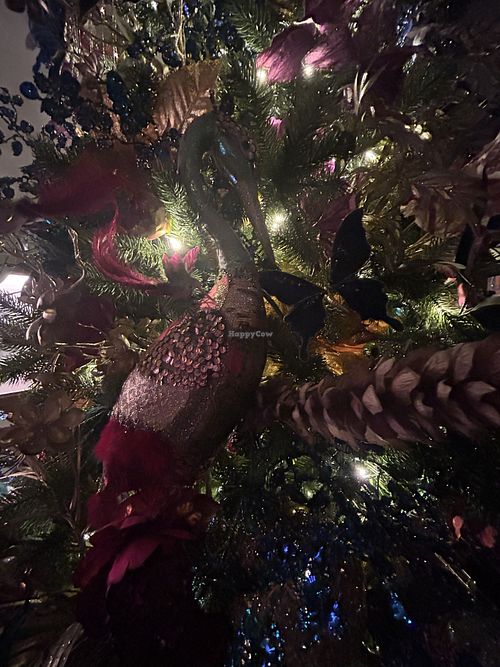   at Fiera in Antwerpen