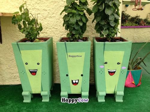 plantitas felices at Caballete & Berenjena in Magdalena