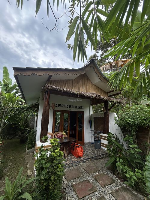 Bungalow  at Sumatra Orangutan Discovery Villa in Langkat