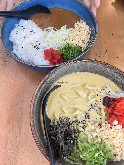 Vegetable curry on top and cold udon noodles on bottom  at Kisser in Nashville