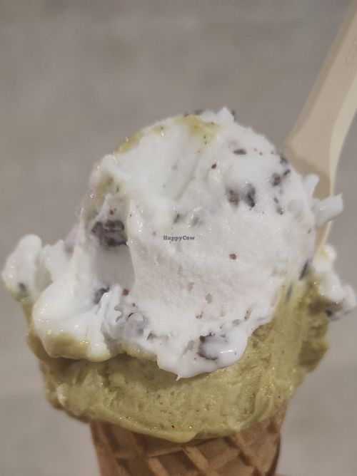 Stracciatella al cocco et pistacchio at Gelateria Lapecoranera in Brescia