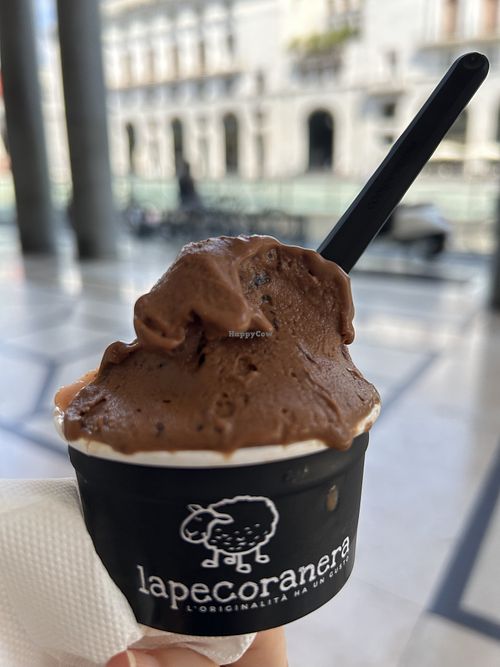  at Gelateria Lapecoranera in Brescia