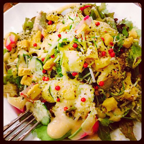 the highlight for us was this huge vegan cheese salad. at CHOICE in Kyoto