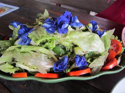delicious, colourful salad at Happy Green in Chiang Mai