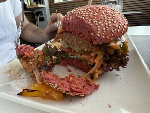   at Venitien in Blankenberge