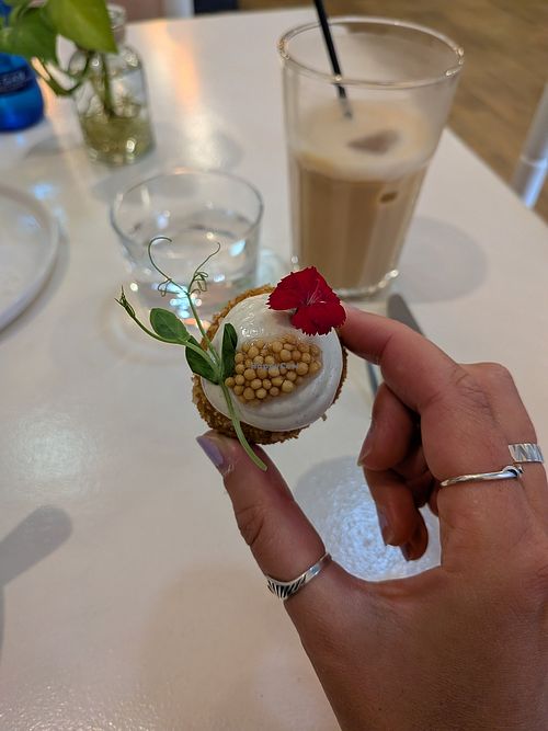 Croquetas and iced latte at Let It Bloom in Valencia