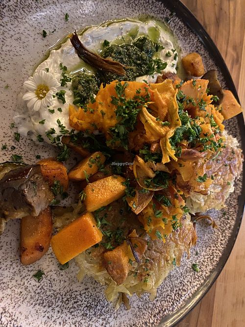   at Küchenschelle in Freiburg