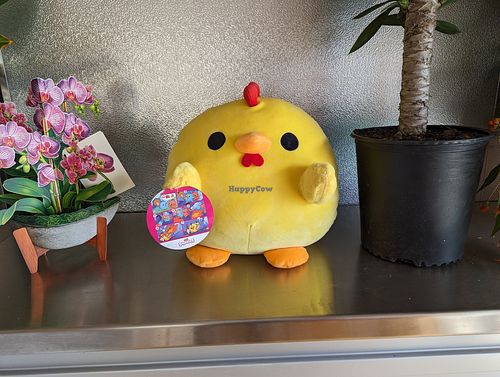 Chicky at Silantra Asian Street Kitchen in Camp Hill