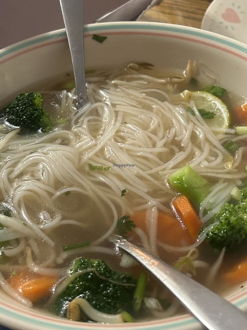 Vegetable pho - do not recommend   at Linh Vietnamese Cuisine in Russellville