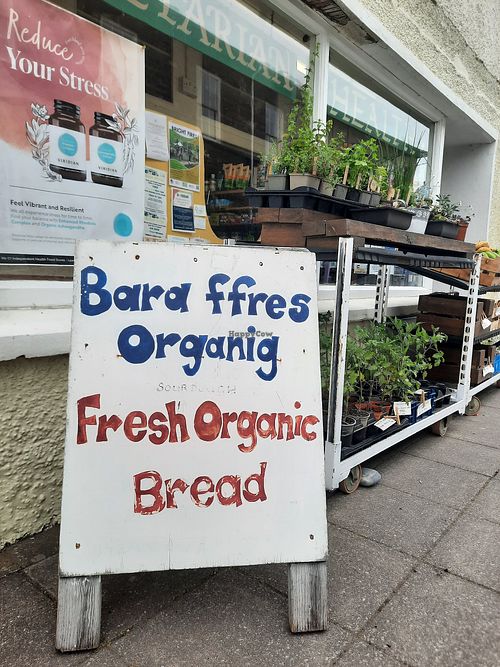 Shop front with plants for sale at Ŷdfa Health Food Store in Aberaeron