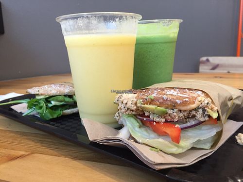 Chili the Kid at Plants By Us in Helsinki