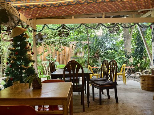 The environment is super cosy, quiet, and chill, well away from the hectic roads in a cute garden setting at Mister Saigon in Dumaguete