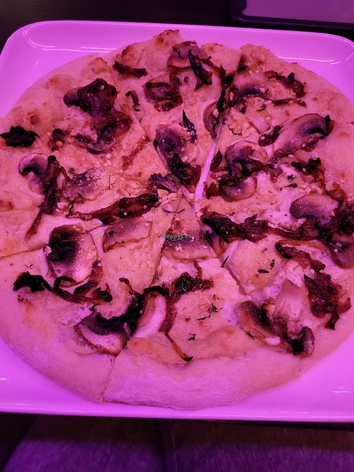  at Stardust Bar + Kitchen in Halifax