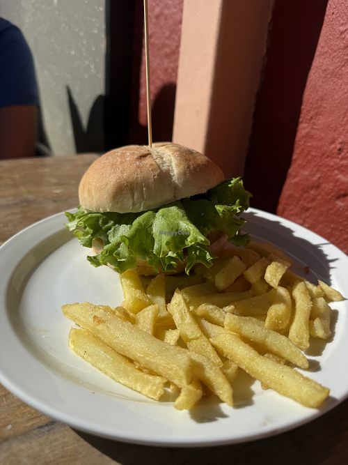   at PAPILLON  in Tenerife