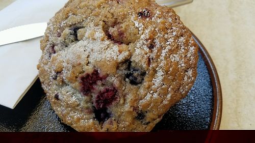 vegan berry muffin at Invita Living Food in Melbourne