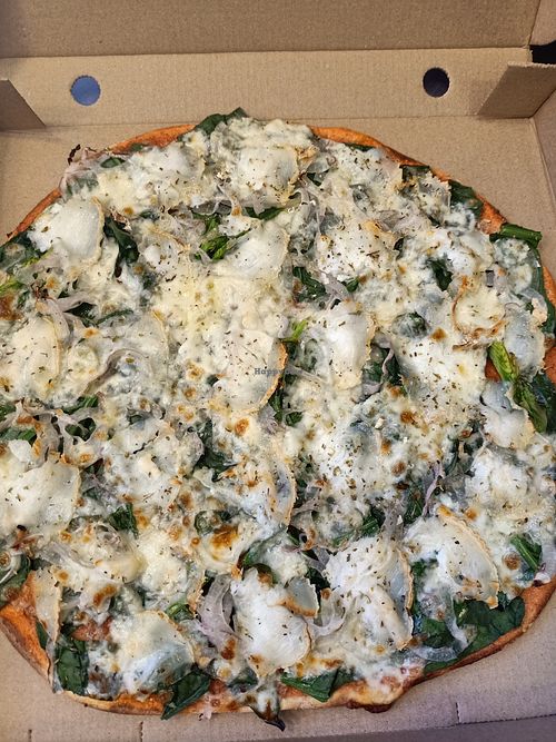  at Bocatto in Palamos