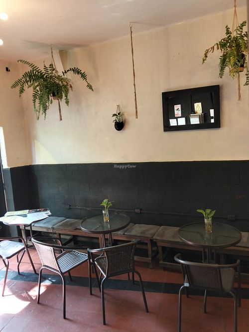  at Sugar Planty in Mexico City