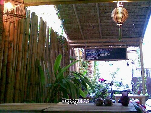 Hungry Vegie at Hungry Vegie in Chiang Mai