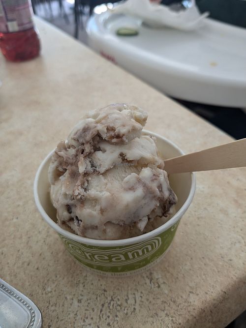 Vegan thunder and lightning ice cream (other flavours available) at Simply Wicked in Barnoldswick