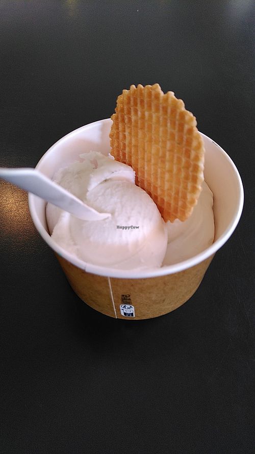 Lemon sorbet at Crèmerie Jerome in Lier