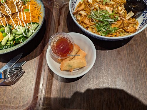 spring rolls at ChopChop in Nykoping