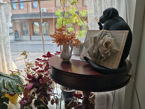  at Café Selma in Eskilstuna