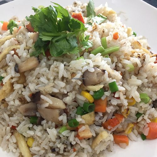 fried rice at World Vegan in Cabramatta