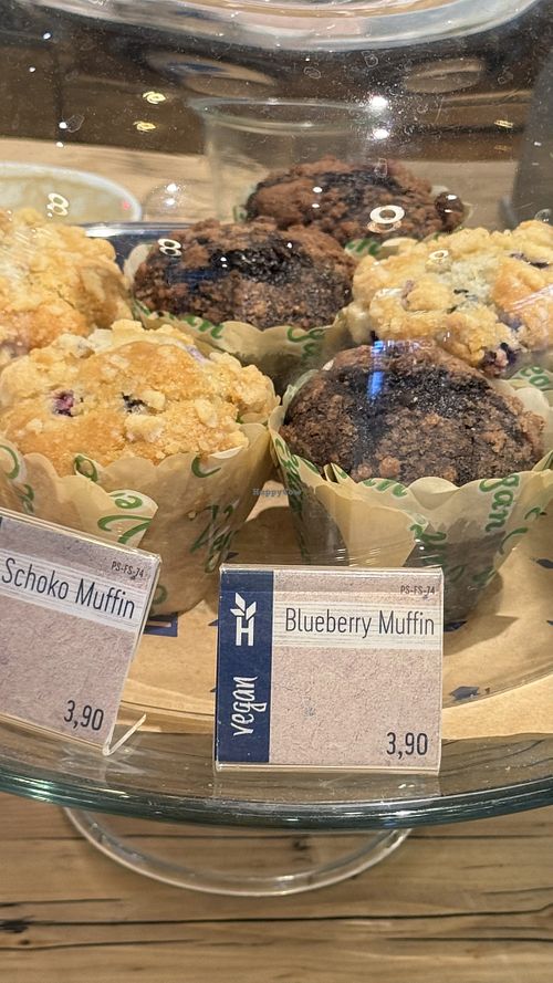   at WIE - Haferkater - T1  in Schwechat