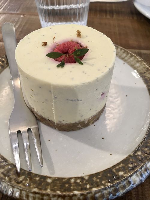 Passionfruit and raspberry cheesecake made out of cashews with a walnut crust  at Dream Eater Snoreatery - 食夢 Snoreatery in Taipei
