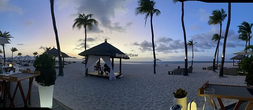 Our view from dinner   at Elements Restaurant in Oranjestad