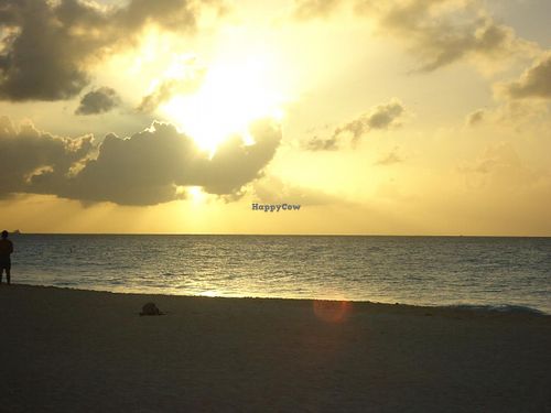 Beautiful sunset views. Get there at 6pm sharp! at Elements Restaurant in Oranjestad