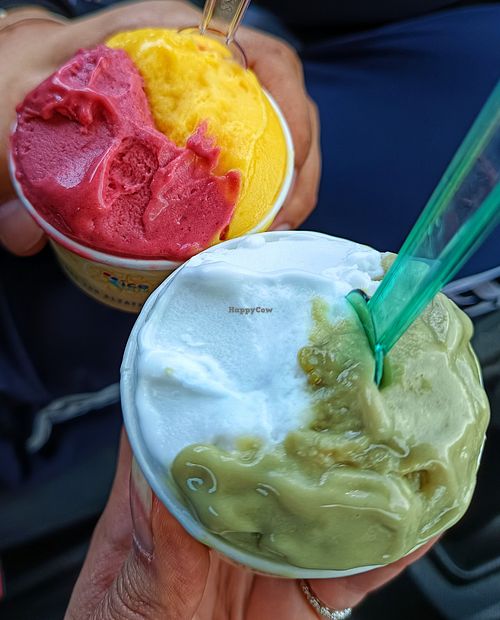 Pistacchio e cocco, mango e fragola. at Gelateria Artigianale Ice Dream in Lomazzo