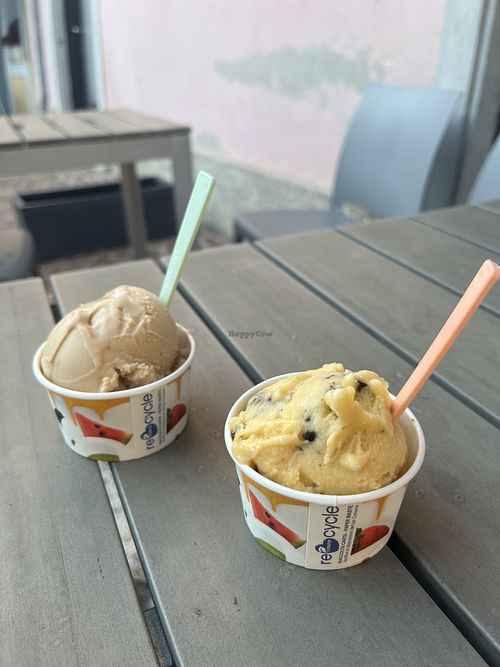 They have a lot of vegan ice cream. It is really yummy and they even have ice cream for dogs😂💕 all the types of ice is named (senza Latte) and showed at the second picture.  at Gelateria Marco Ietri Cividale in Cividale Del Friuli