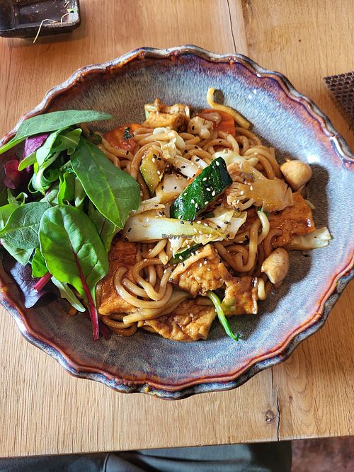 Udon with Tofu at H-Fresh Restaurant Ronnenberg in Ronnenberg