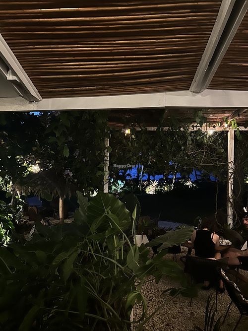 Ambient   at Spicy Coconut in Cocles