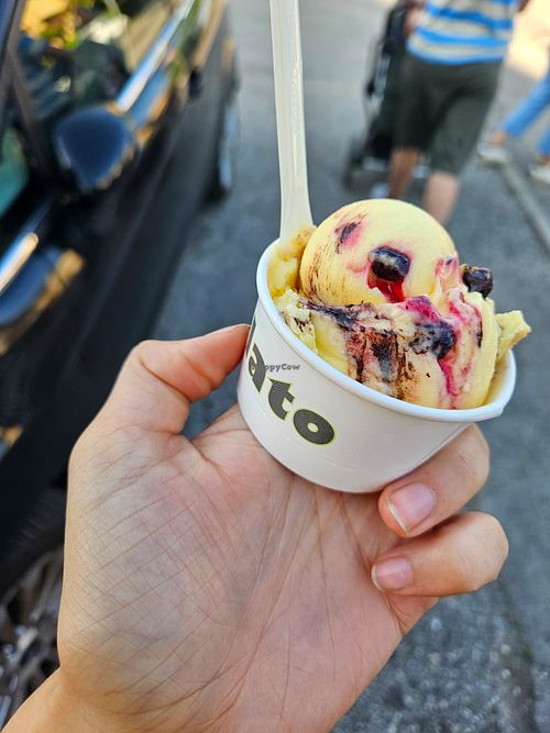 Vegan crema al limone con fondente e frutti di bosco at Mondogelato in Cadoneghe