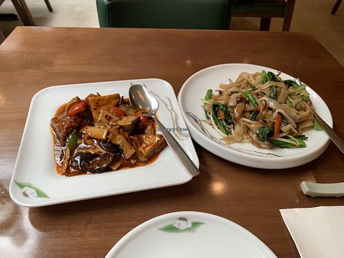 Tofu & mushrooms in special sauce + Ho fun noodles (both VE & GF)  at Tofu Vegan - Charlotte in London