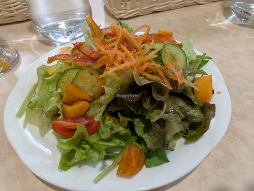 Salad at MERCY Vegan Factory - Kyoto Station in Kyoto